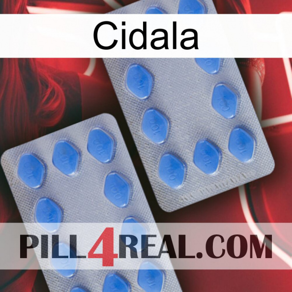 Cidala 20.jpg